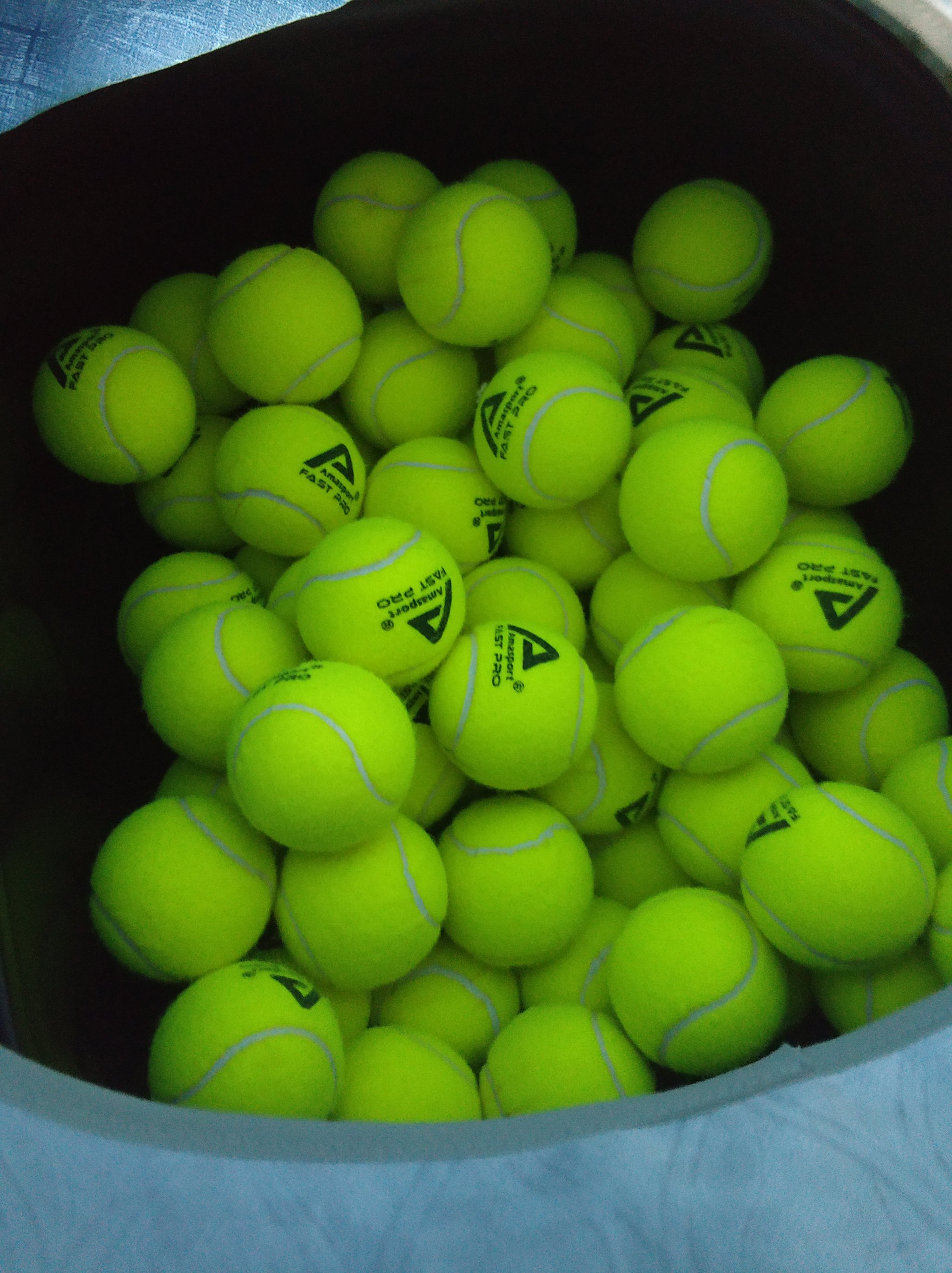 要更加注重 要更加注重