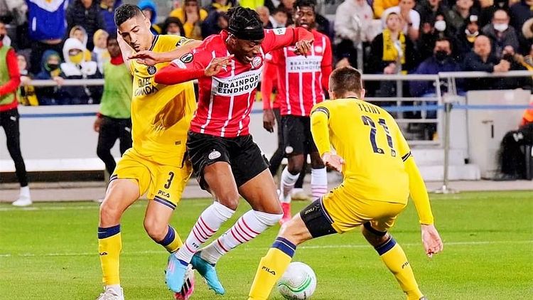 对粉丝与生 对粉丝与生