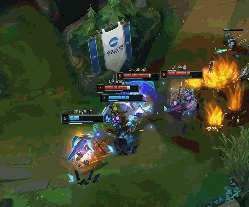 古斯塔沃双 古斯塔沃双